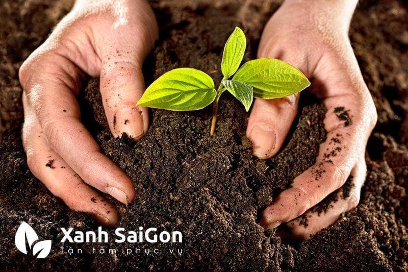 Ô nhiễm môi trường đất – Thực trạng, nguyên nhân và biện pháp khắc phục
