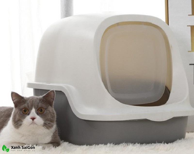 Nhà vệ sinh hình cá voi cho mèo