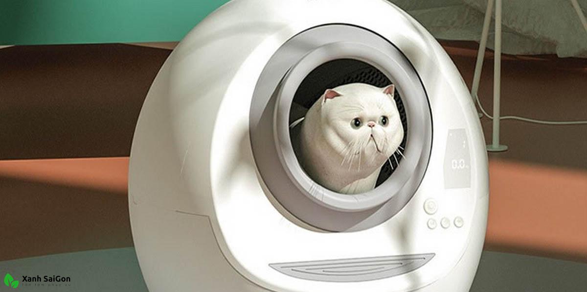 Top 5 nhà vệ sinh khử mùi cho mèo bán chạy nhất hiện nay