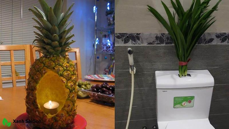 Tại sao nên khử mùi toilet bằng trái thơm?