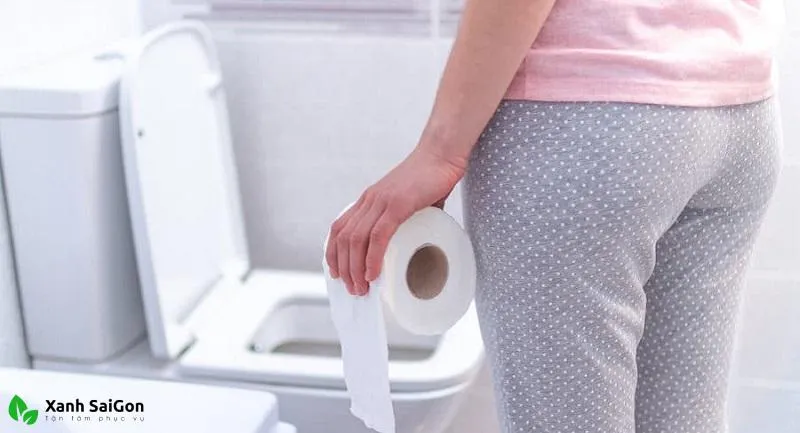 Thói quen vứt giấy vệ sinh là nguyên nhân gây nghẹt cầu